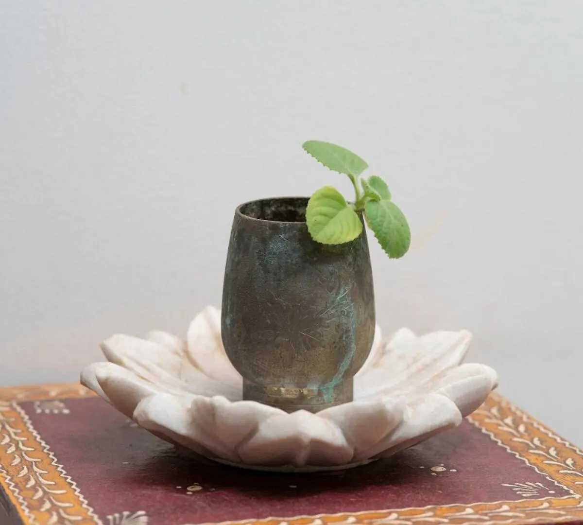 Santosh Villa - The House Of Antiques And Art Udaipur 0*,